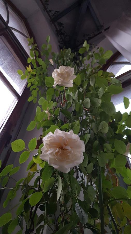 ホテル La Torre Di Pieve ピエーヴェ・サント・ステーファノ エクステリア 写真